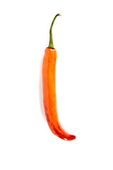 Chilli Pepper Close up