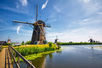 Fototapeta premium view of traditional windmills in Kinderdijk, The Netherlands.