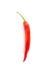 Chilli Pepper Close up