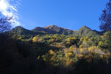 Paysage d'automne du conflent avec canigou