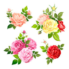 Lovely rose flower - 238210170