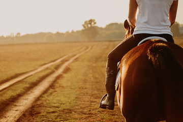 Young woman horseriding in sunset on the fields. Close up - 238211114
