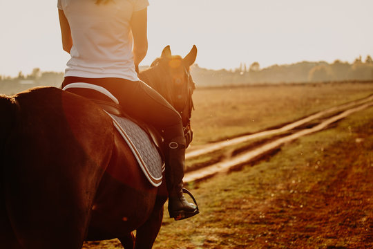 Young Woman Horseriding In Sunset On The Fields. Close Up