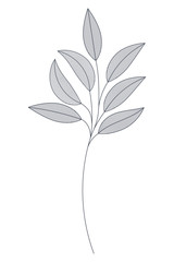 branches with leaves isolated icon