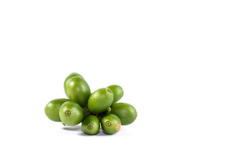 Coffee arabica Close up