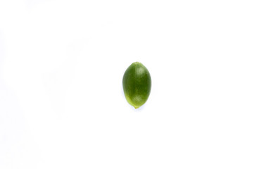 Coffee arabica Close up