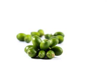 Coffee arabica Close up