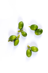 Coffee arabica Close up