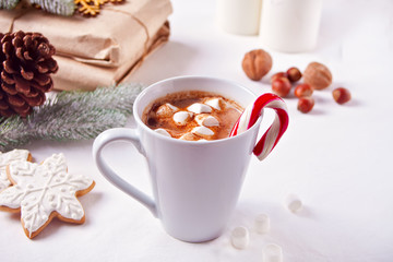 Christmas cocoa with marshmallows, candy cane, cookies and other decoration on the white background