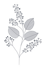 branches with leaves isolated icon