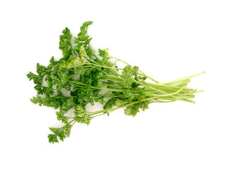 bunch of parsley isolated on white background
