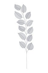 branches with leaves isolated icon