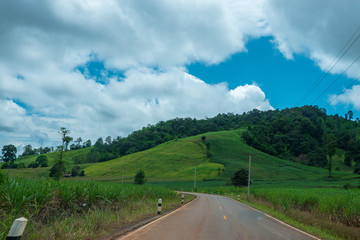 Rural road with lush green trees both sides of the road ,a fresh feeling.