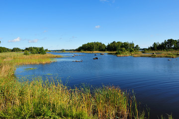 Fototapeta na wymiar Der Åsnen-See, Schwedens neuer Nationalpark