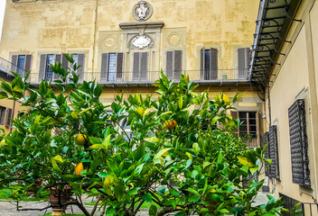 Walled garden in Palazzo Medici Riccardi. Florence, Italy