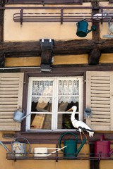dekorierte Fassade eines Fachwerkhauses mit Storch in Colmar im Elsass