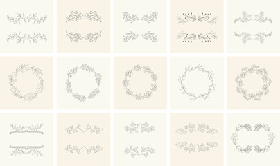 Set of floral frames and wreaths with plant.