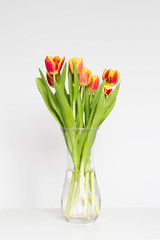 Bouquet of red-yellow tulips in a glass vase on the white table. Women's and mother's day, romance concept. Copy space, front view