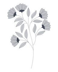 flowers with branches and leaves isolated icon