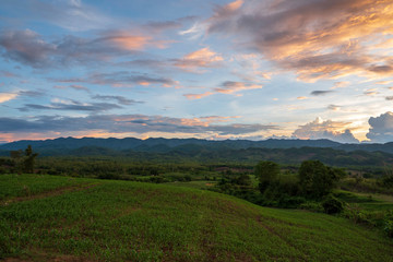 View of countryside with grass green and blue sky.