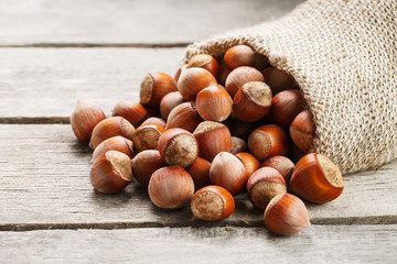 Hazelnuts in a cover, poured out from a bag from burlap on a gray wooden table