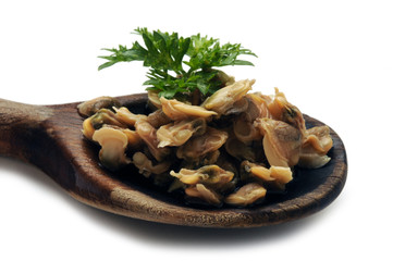 Vongole Almejas Palourdes 帘蛤科 Venusmuscheln ft81060075 Venèrids Sgusciata Clams マルスダレガイ科 Vongola