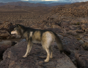 3d rendering of brown and gray wolf stand guard and protect the shrine from evil.