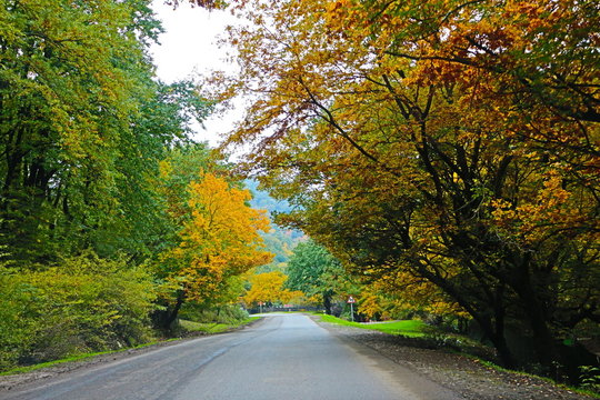 Autumn landscape of Talysh mountains, Azerbaijan