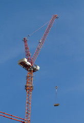 Crane