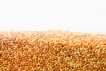 Layer of kidney beans in section isolated on white background. Agriculture poster concept