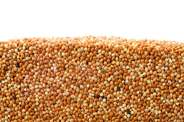 Layer of kidney beans in section isolated on white background. Agriculture poster concept