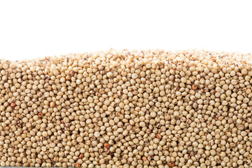 Layer of kidney beans in section isolated on white background. Agriculture poster concept