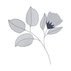 flower with branches and leaves isolated icon