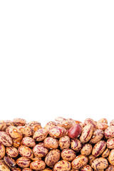 Layer of haricot beans in section isolated on white background. Agriculture poster concept