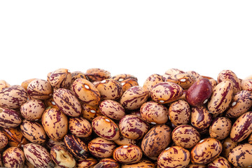 Layer of haricot beans in section isolated on white background. Agriculture poster concept