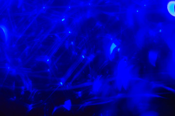 Fototapeta na wymiar Abstract Bokeh Texture. Colorful blue. Defocused background Blurred bright light.