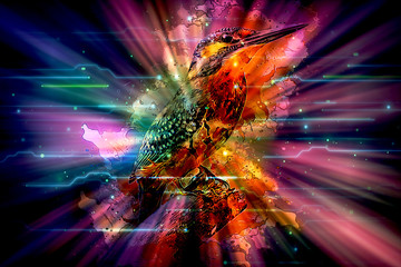 Artistic Colorful Glowing Bird In a Visualized Colorful Background