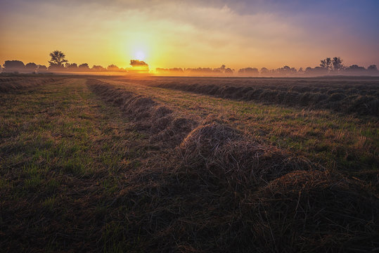 Sonnenaufgang &uuml;ber einer Wiese bei Hemmingen, Hannover