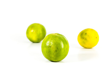 Lime Close up