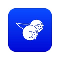 Chokeberry or aronia berry icon digital blue for any design isolated on white vector illustration