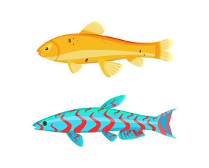 Malawi Yellow Zebra Fish Set Vector Illustration