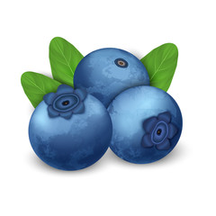 Blueberry icon. Realistic illustration of blueberry vector icon for web design isolated on white background
