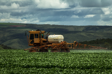 Pulverização de herbicida em plantações onde havia o cerrado nativo