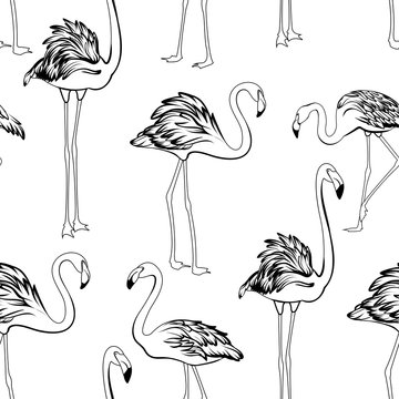 Flamingos black and white seamless pattern. Exotic wading birds in different postures. Detailed outline ink drawing.