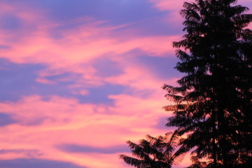 Amanecer de cielo rojo
