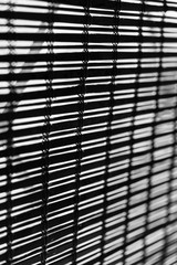 Black and white monochrome abstract image of vertical bamboo blinds