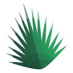 Palm tropical leaf icon. Cartoon of palm tropical leaf vector icon for web design isolated on white background