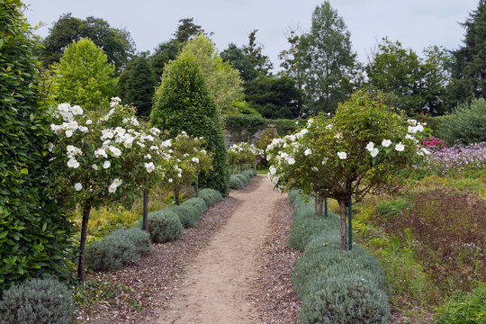 Garden Of The Ancient City In Botanical Park Of Upper Brittany