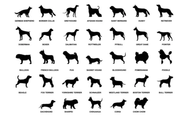 Fotobehang Dog breeds silhouette set vector design printable wall art decal home decor ornament © Daniel