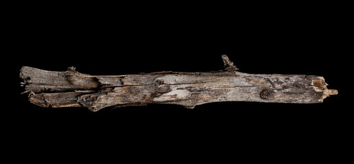 Dry rotten branch isolated on black background